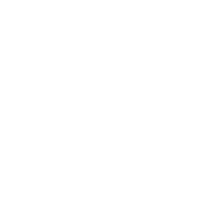 logo-alt logo-alt